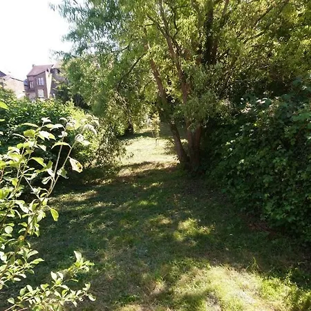 Holiday home Cour Et Jardin Revin (Ardennes)